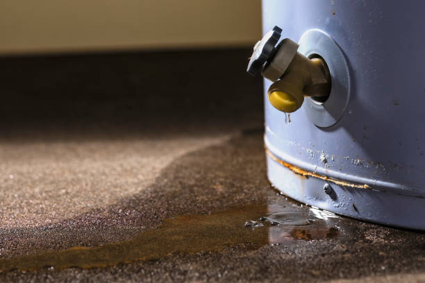 Best Local water damage restoration  in Geneva, IL