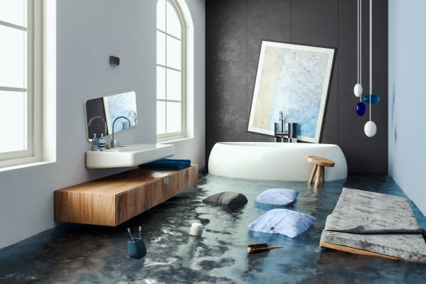 Best Residential water damage restoration  in Geneva, IL