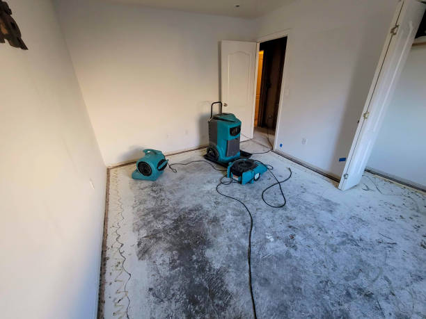 Best Water damage restoration specialists  in Geneva, IL