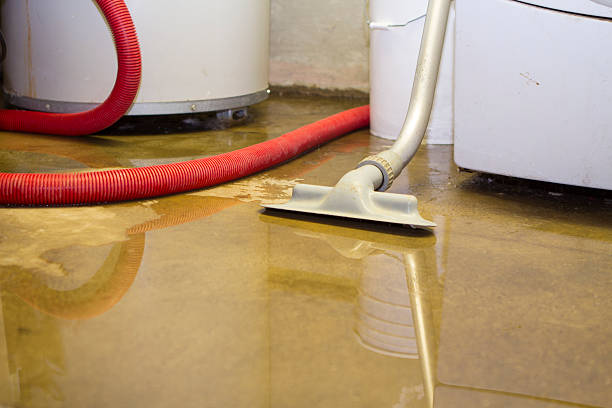 Best Emergency water damage restoration  in Geneva, IL